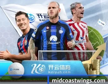 球速体育官网 APP